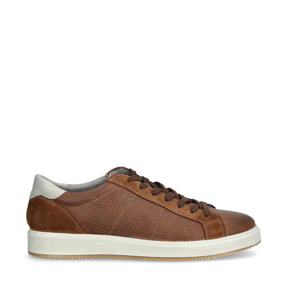 Kreon Sneakers Brun