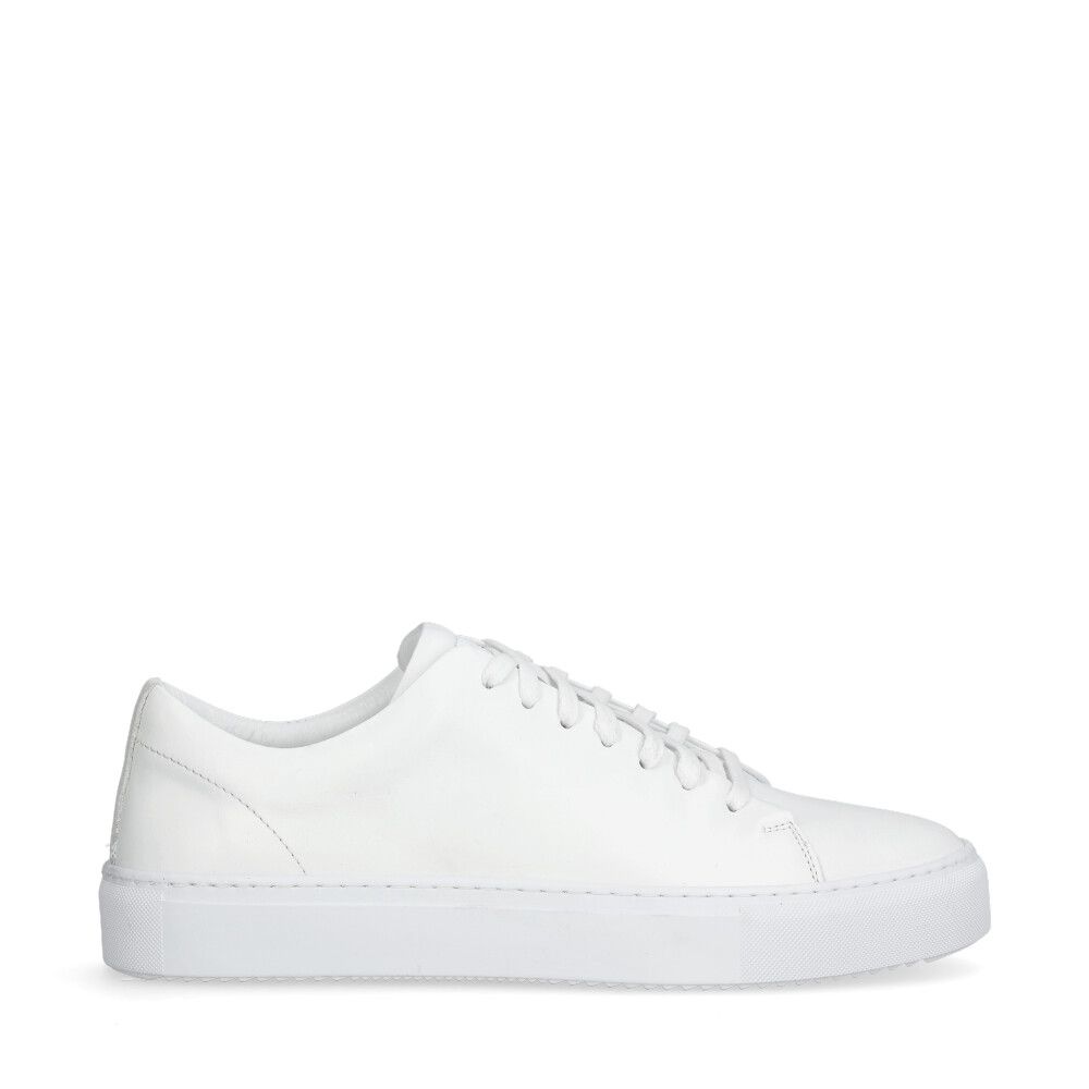 Asher Sneakers Vit