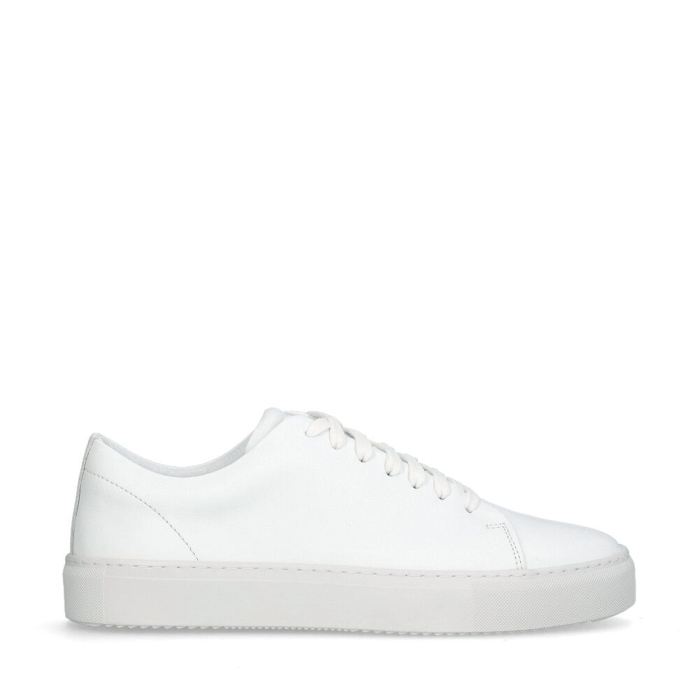 Asher Sneakers Vit
