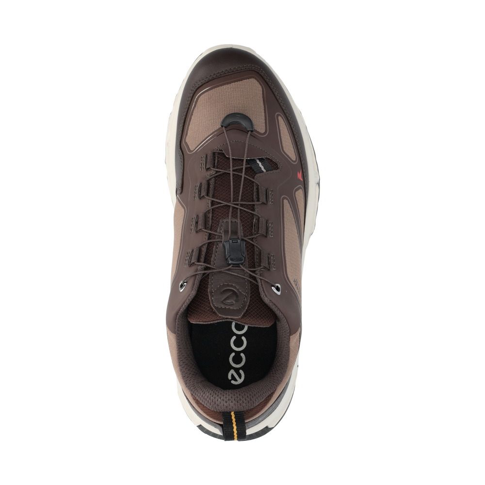 Receptor XP Sneakers Brun