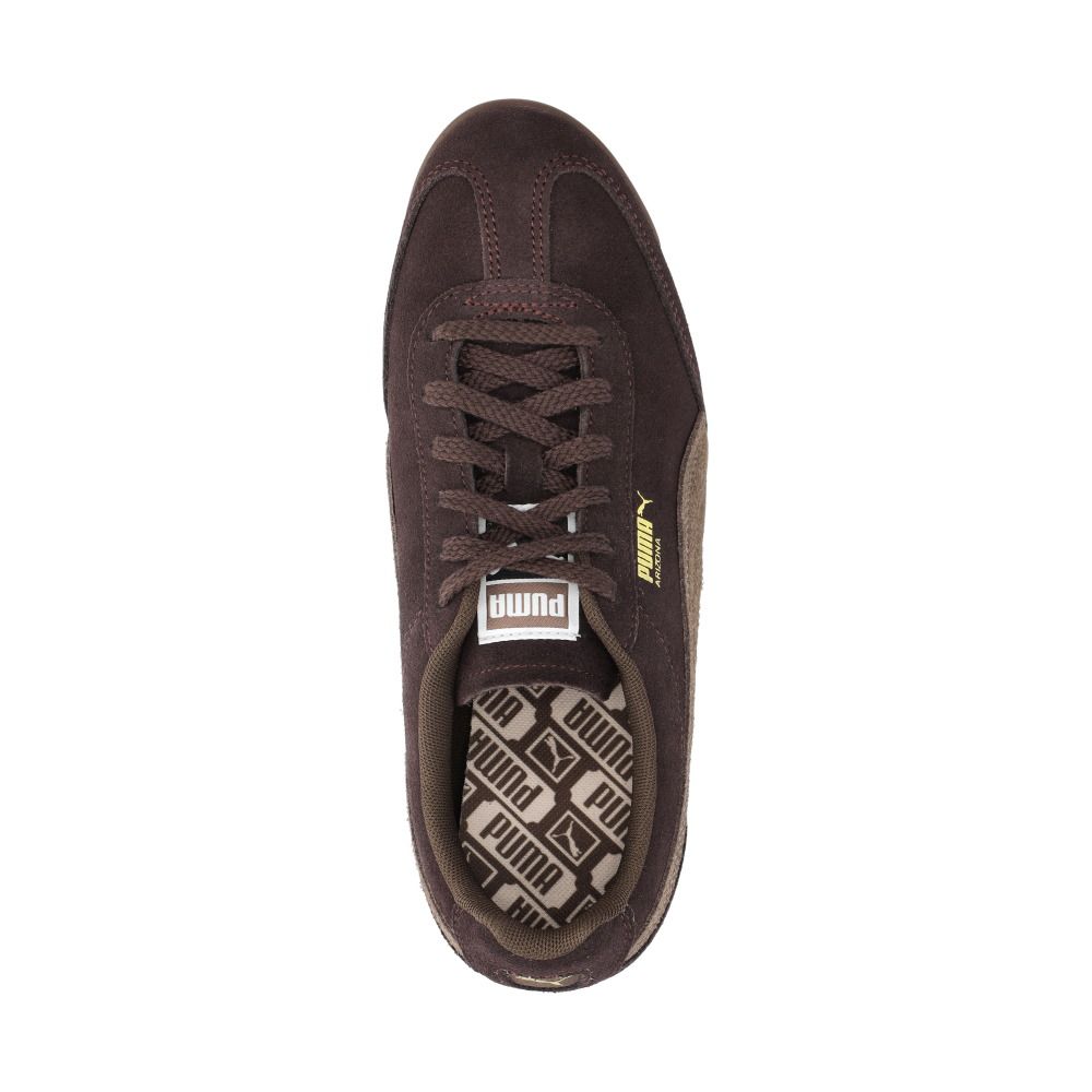Arizona SD Sneakers Brun