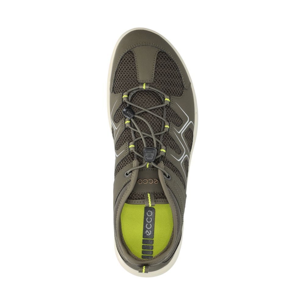 Terracruise M Sneakers