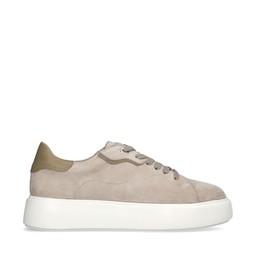 Ardisia Sneakers Vid