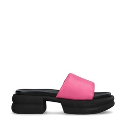 Paxton Sandaler Rosa