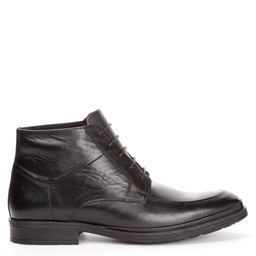 Achilles Svart