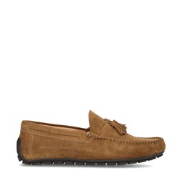 Danny Carshoes