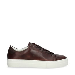 Willy Sneakers Brun