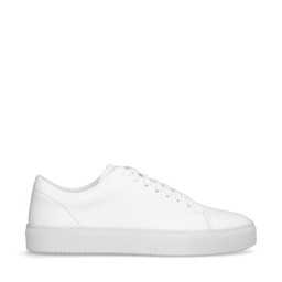 Asher Sneakers Vit