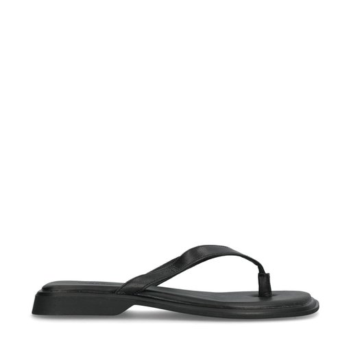 Izzy Sandaler