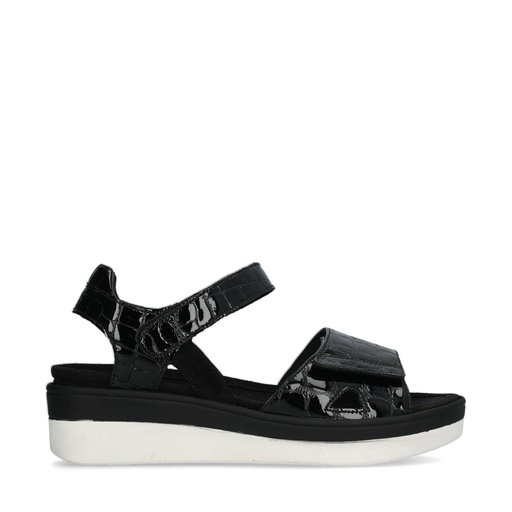 20272-209208 Black