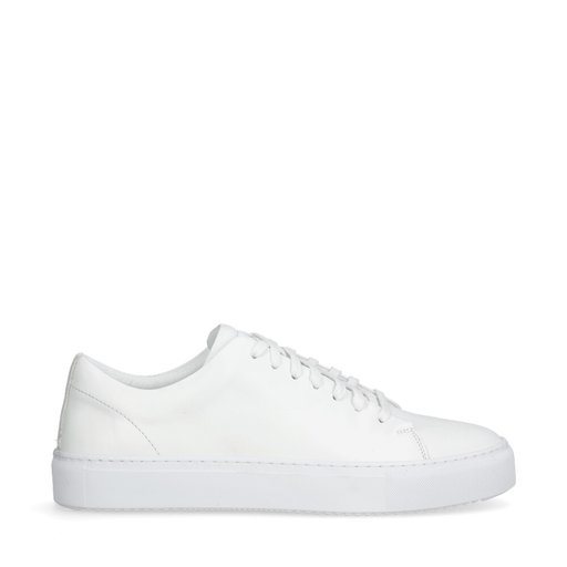 Asher Sneakers Vit
