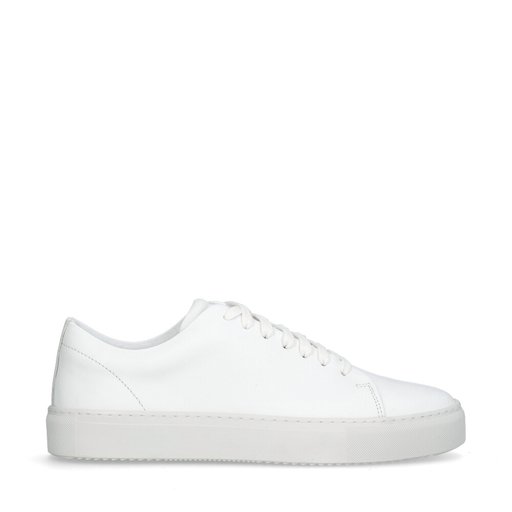 Asher Sneakers Vit
