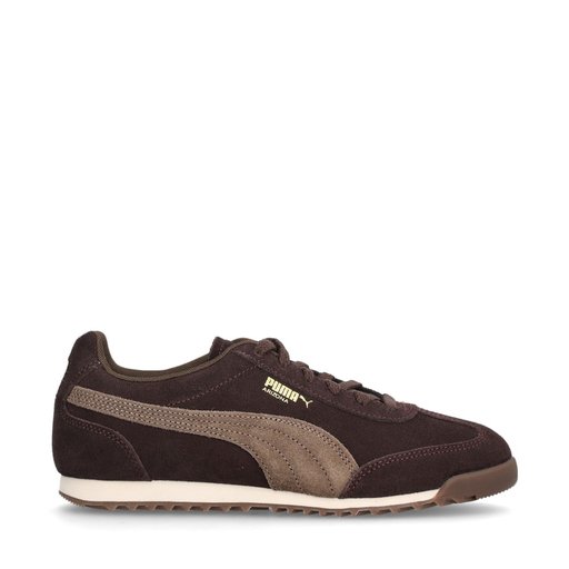 Arizona SD Sneakers Brun