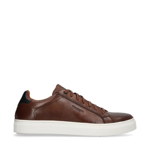 Arezzo Sneakers