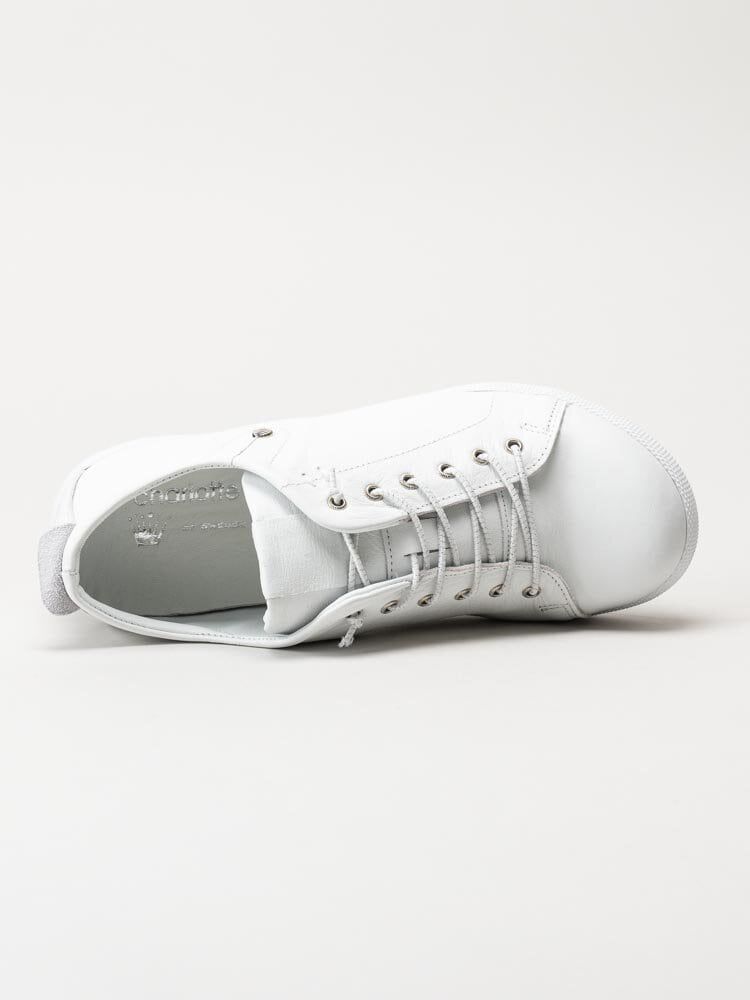 Charlotte of Sweden - Vita sneakers i skinn