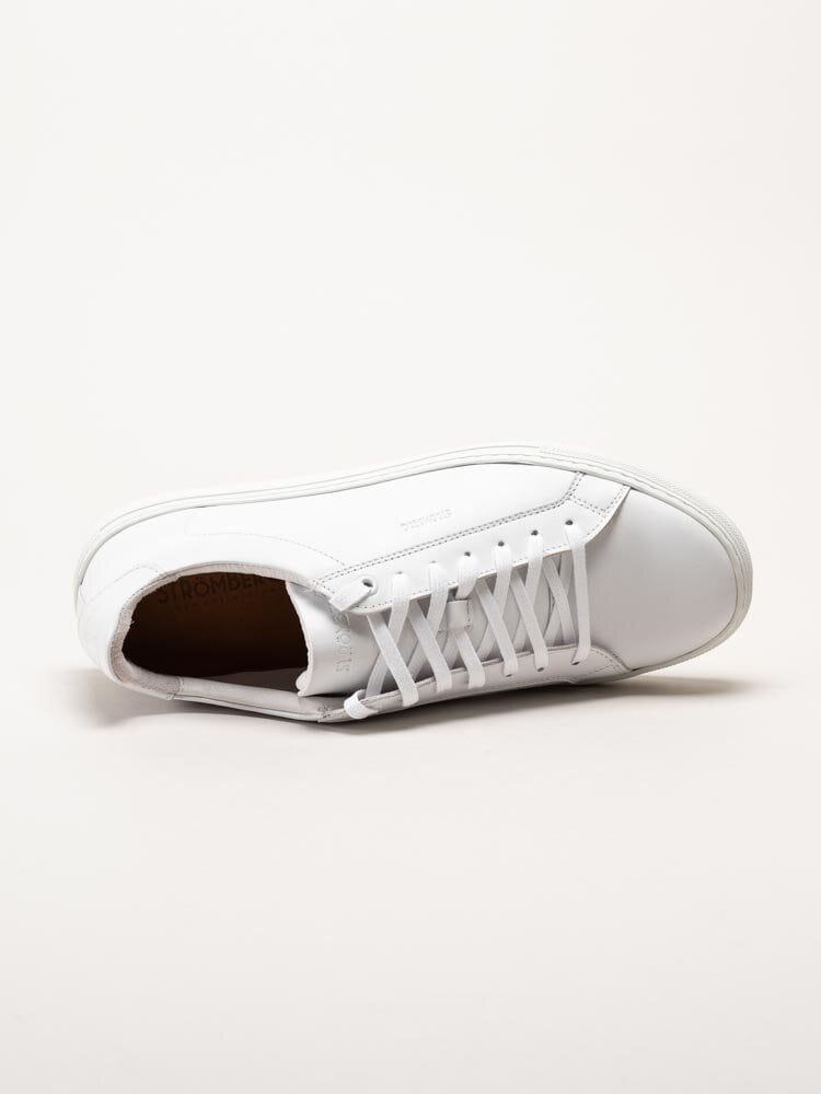 Strömberg - Arezzo - Vita sneakers i skinn