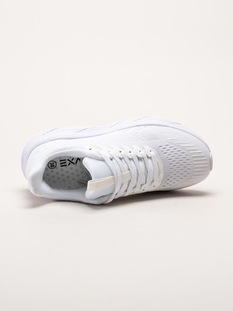 Exani - Aviator W - Vita sportiga sneakers i textil