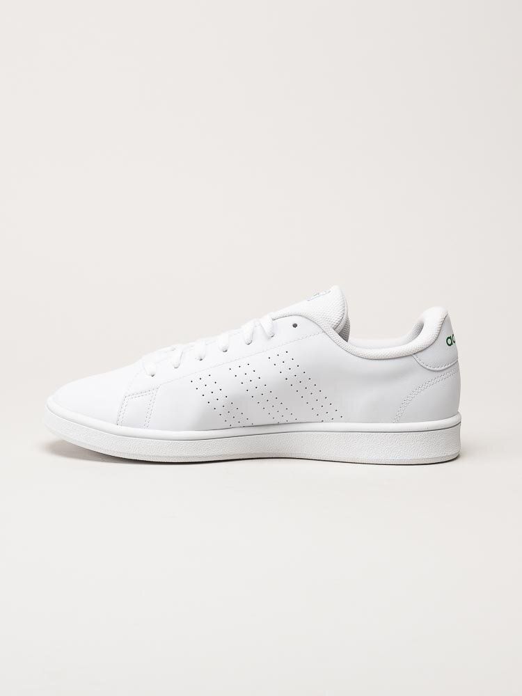 Adidas - Advantage Base - Vit tennis sneaker