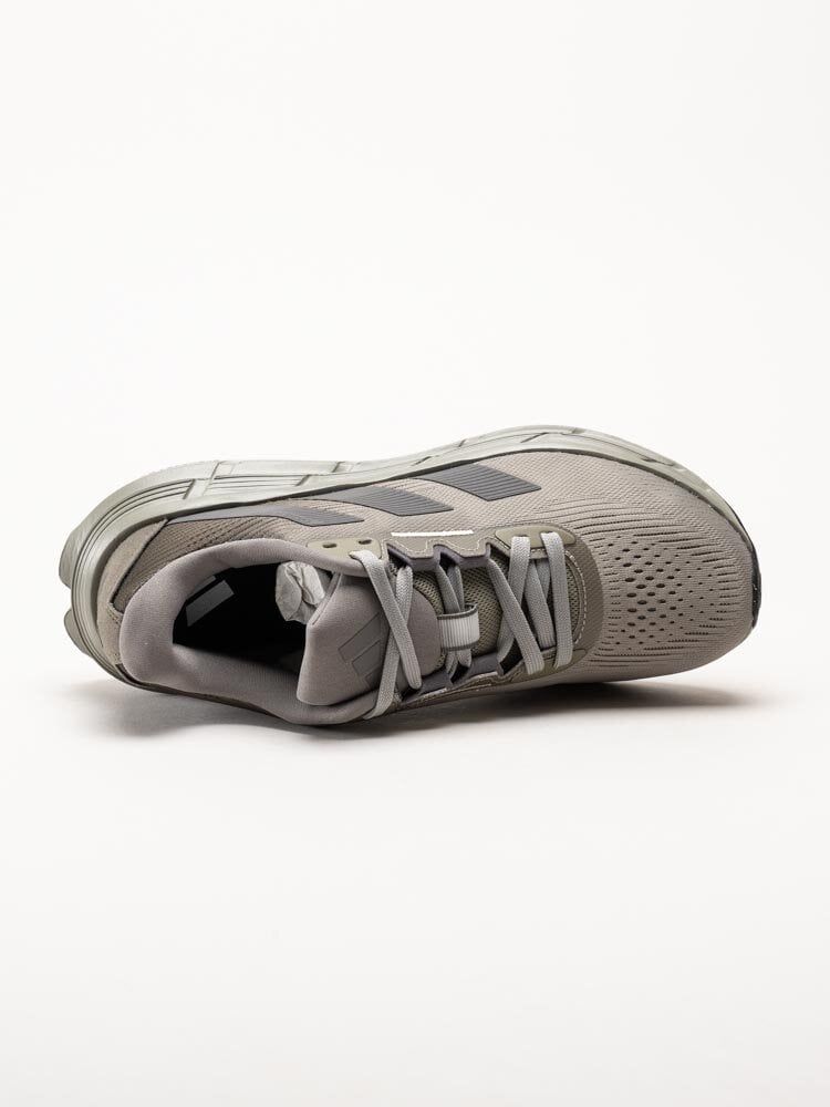 Adidas - Questar 3 M - Gröna löparskor med dämpning
