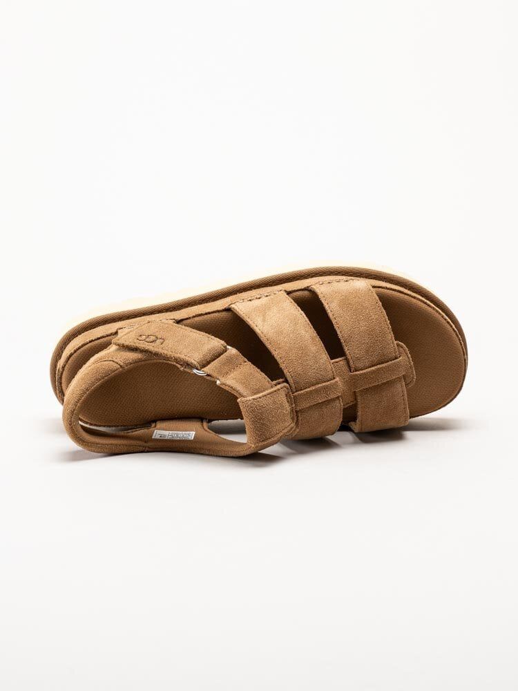 UGG - W Goldenstar Strap - Bruna platåsandaler i mocka