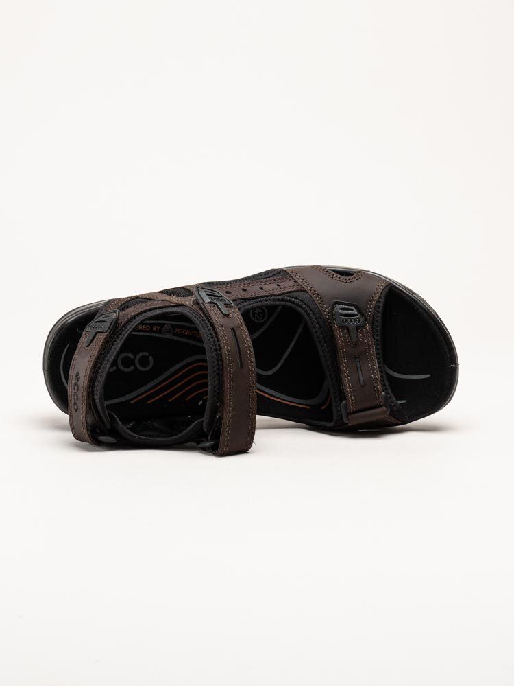 Ecco - Offroad Yucatan - Mörkbruna sportiga sandaler
