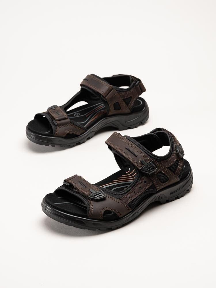 Ecco - Offroad Yucatan M - Mörkbruna sportiga sandaler