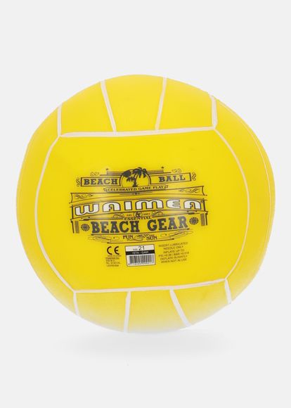 Beach Ball PVC