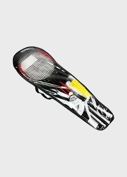 Badmintonset 4-p med nät