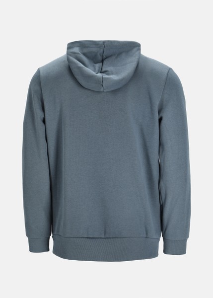 ESS Big Logo Hoodie FL (s)