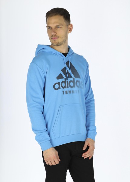 CATEGORY GRAPHIC HOODY
