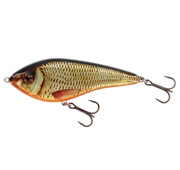 Swim Glidebait 10cm Low Floati