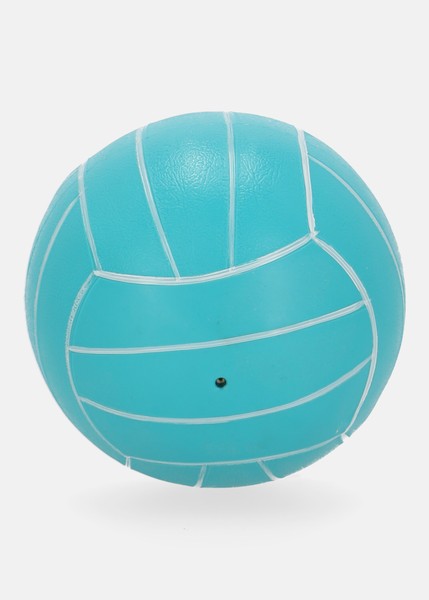 Beach Ball PVC