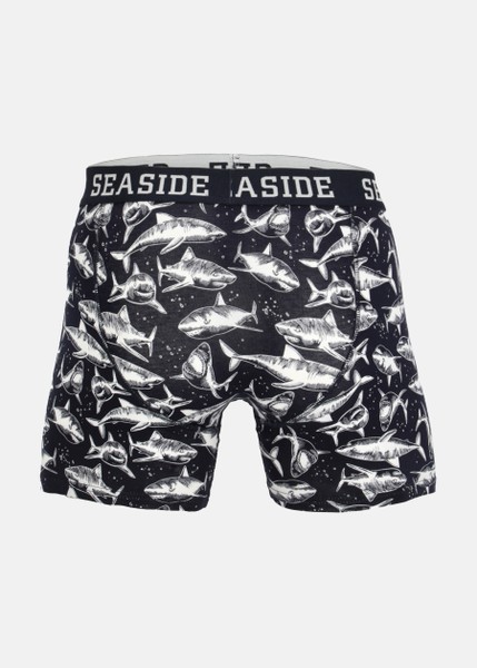 Classic Boxer Shorts 5- pack