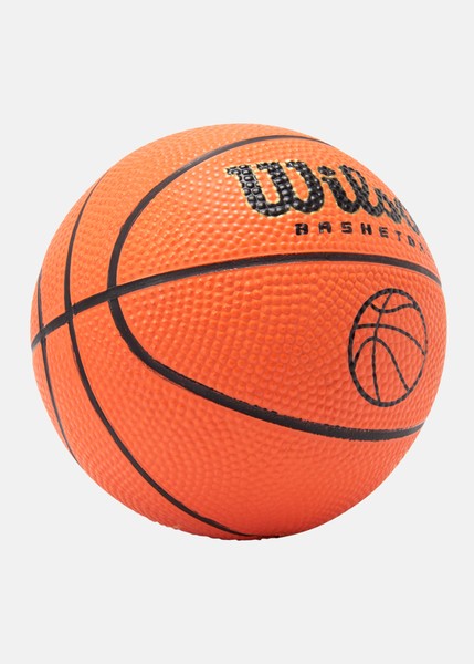 Micro Basketball