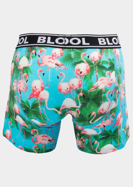Boxer Shorts Flamingo 2-Pack