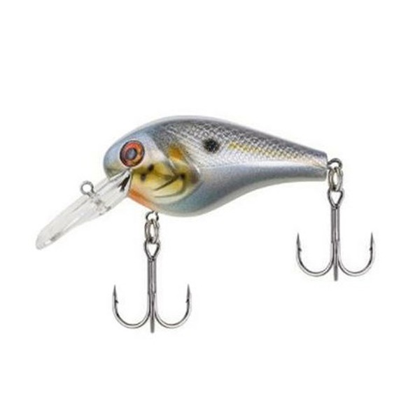 Wild Thing Sexier Shad