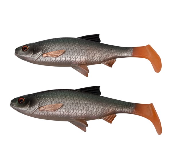 River Roach Paddletail