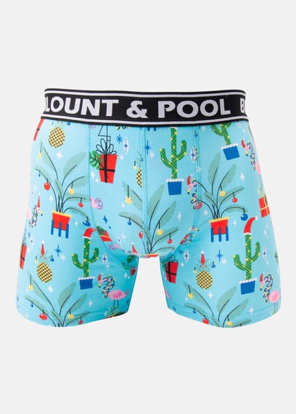 Boxer shorts Santa Dino 2-pack