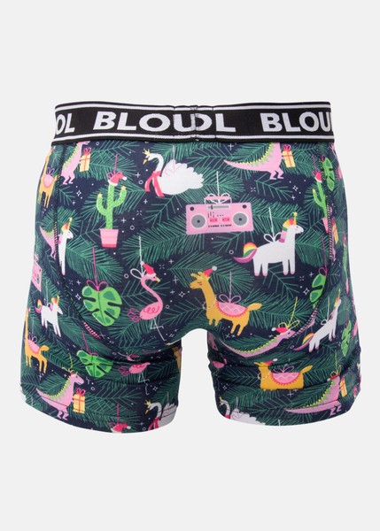 Boxer shorts Santa Dino 2-pack