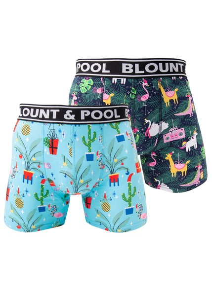 Boxer shorts Santa Dino 2-pack