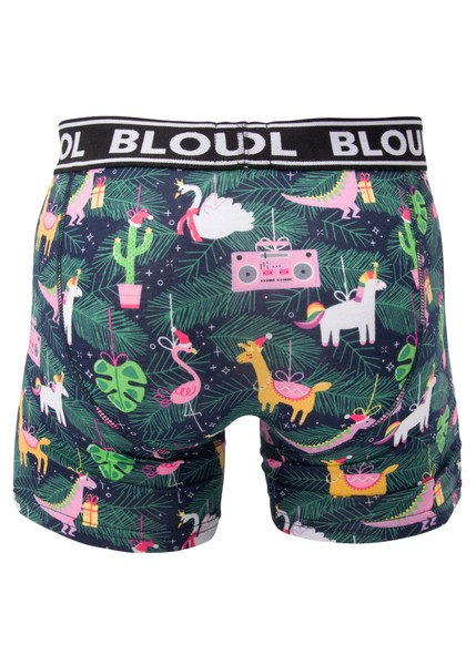 Boxer shorts Santa Dino 2-pack