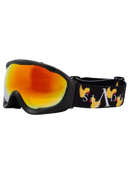 Whistler Goggles