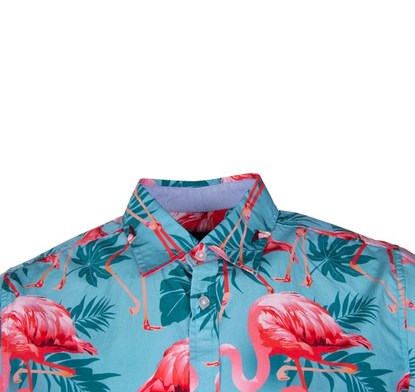 Hawaii Shirt