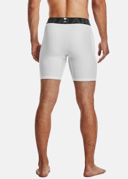 UA HG Armour Shorts
