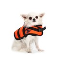 Doggy Life Vest