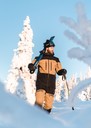 Freeride Bib Pants
