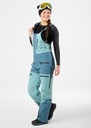 Freeride Bib Pants W