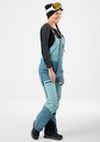 Freeride Bib Pants W