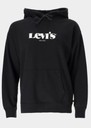 Graphic Standard Hoodie