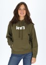 Graphic Standard Hoodie